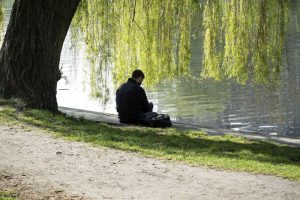 Someone reading under a willow tree.