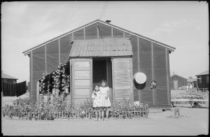 The flower garden at Tule Lake camp.