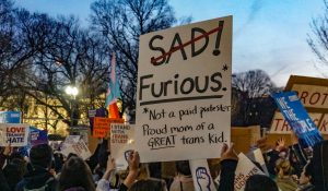 Protesters at a march supporting trans youth.