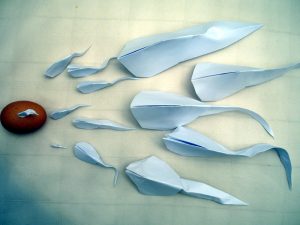 A chicken egg surrounded by pieces of paper folded into the shape of sperm.