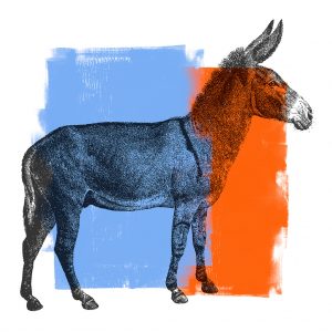 A drawing of a donkey with red and blue blocks of color