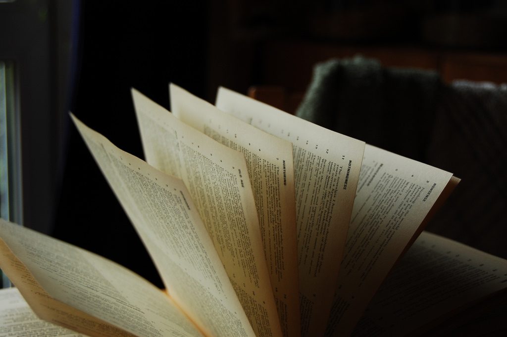 A book, pages fanned out.