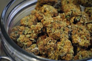 A container of indica.