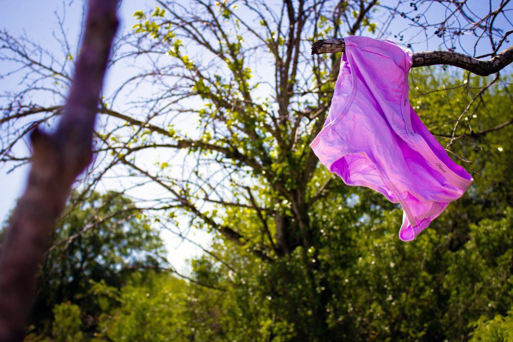 Pink underwear snagged on a tree branch.