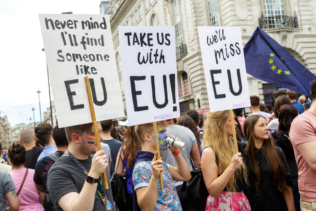Brexit protesters