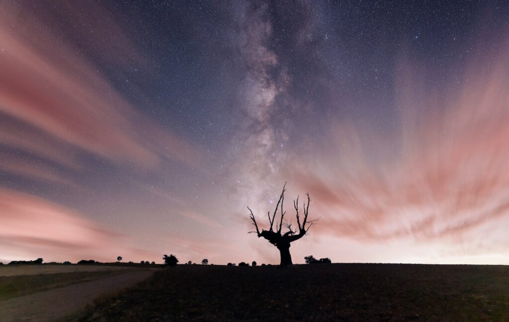 Sky