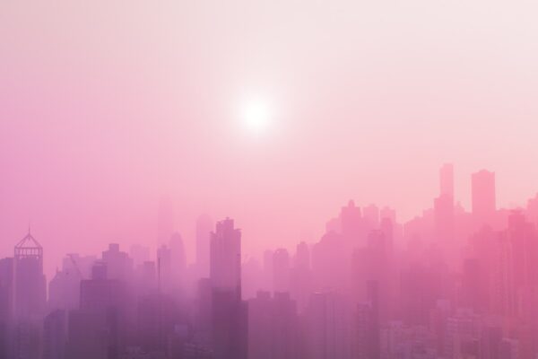 The web’s top three #38