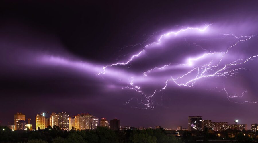 Purple city