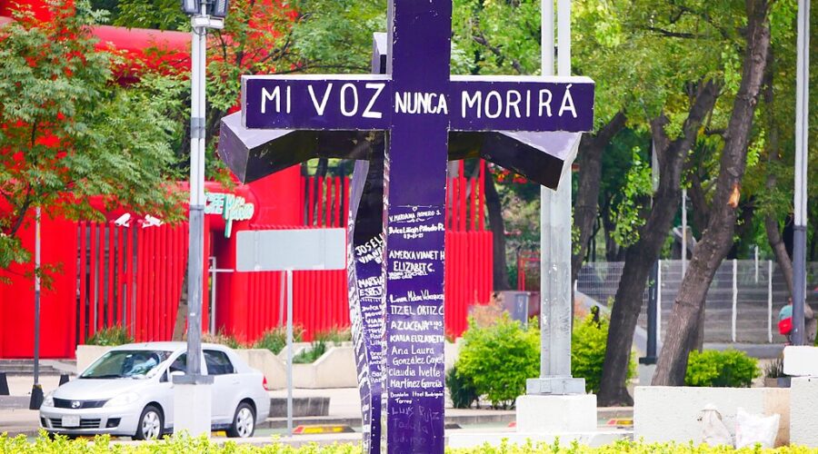 Antimonumento Voces abrazando voces o Cruz de Vida, ubicado en Paseo de Reforma, con intersección de la Avenida de los Insurgentes. Comparte rotonda con el Monumento a Cuauhtémoc. El antimonumento está dedicado a las mujeres víctimas del feminicidio, así como a aquellas que han sido maltratadas. Fue inaugurado el 1 de diciembre de 2019, y originalmente colocado a unos metros, entre las avenidas Sullivan e Insurgentes (frente al monumento a la madre).
