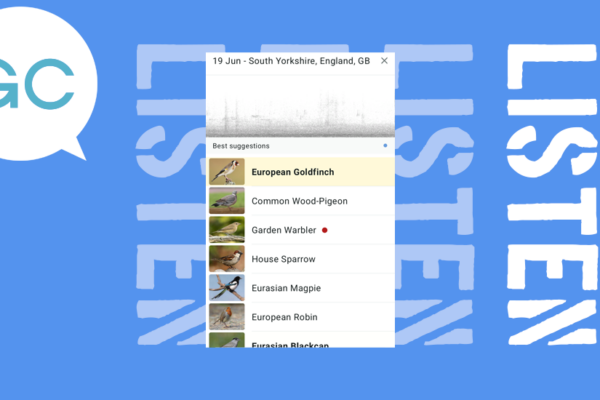 “It’s safe to say, I got obsessed”: Merlin, the app that identifies birdsong