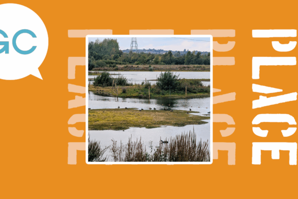 A charming nature reserve in the north of England: RSPB Dearne Valley Old Moor