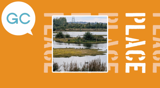 A charming nature reserve in the north of England: RSPB Dearne Valley Old Moor