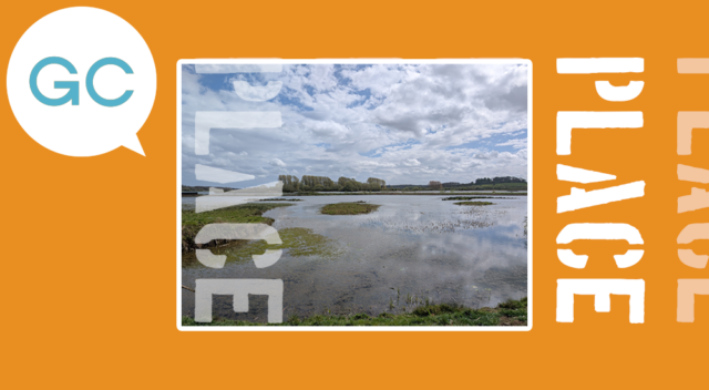 “Did wonders for my soul”: Rutland Water Nature Reserve review