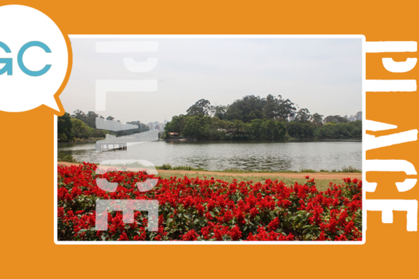 Inside Ibirapuera Park, São Paulo’s Green Heart